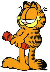 Garfield and Flashlight